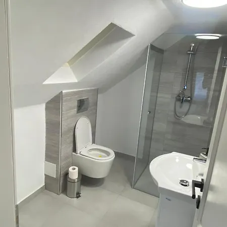 民宿 Casa Didi Zărneşti