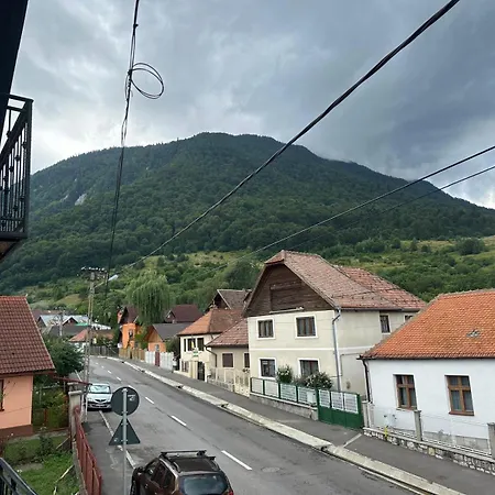 Casa Didi Zărneşti